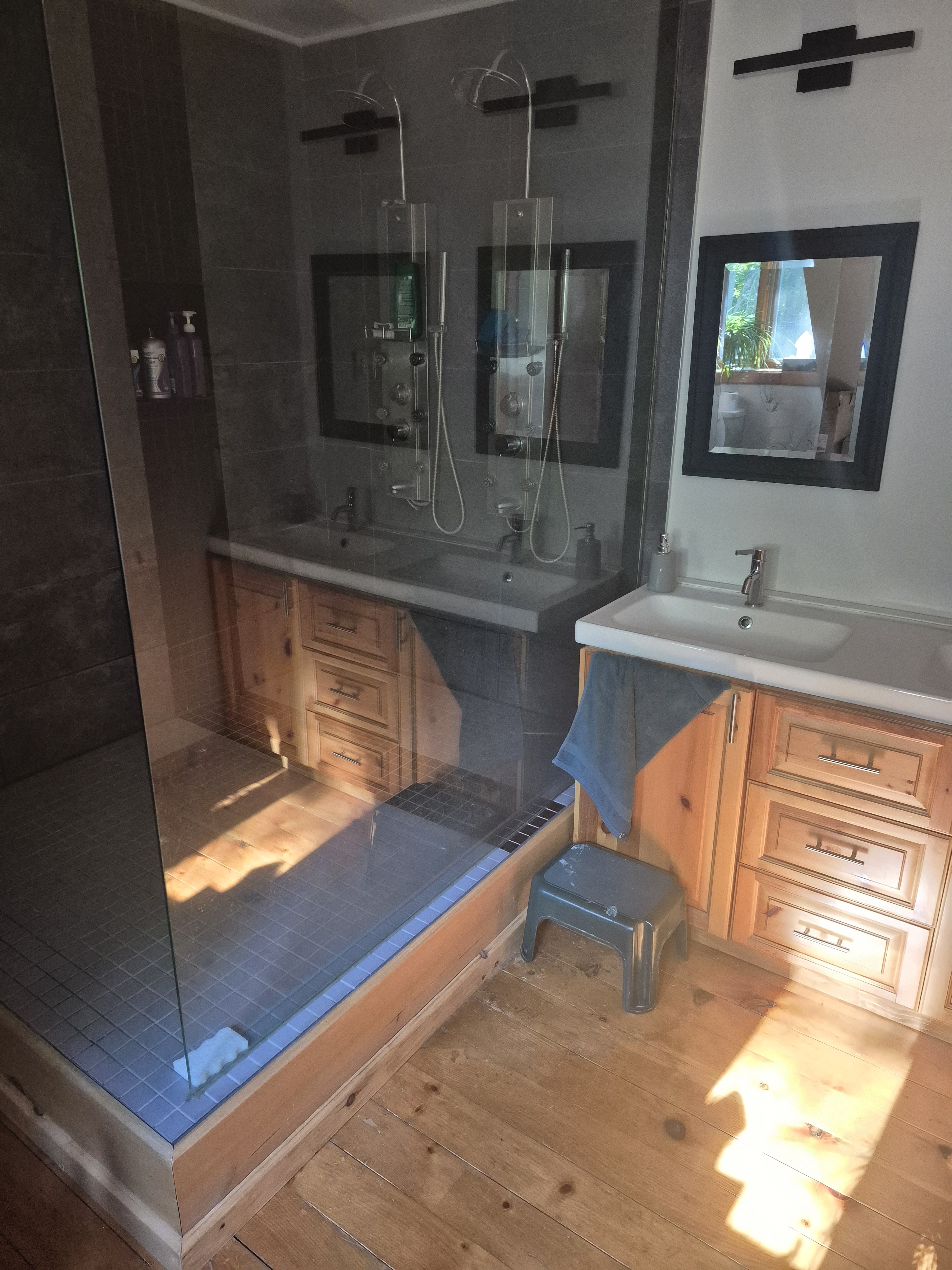 Salle de bain avec douche avant la transformation